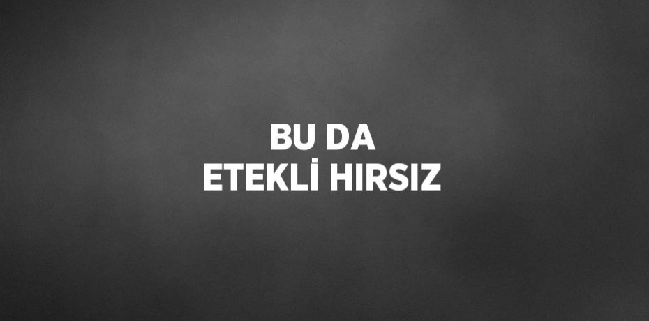 BU DA ETEKLİ HIRSIZ