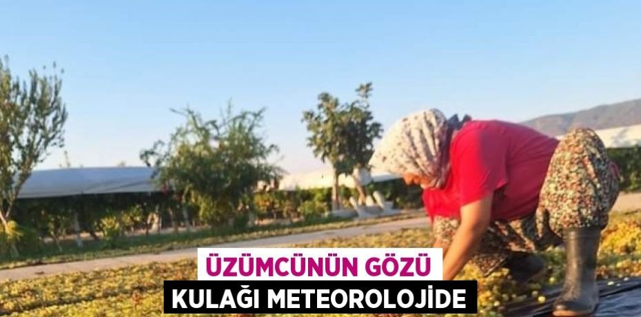 ÜZÜMCÜNÜN GÖZÜ KULAĞI METEOROLOJİDE