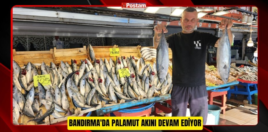 Bandırma'da palamut akını devam ediyor