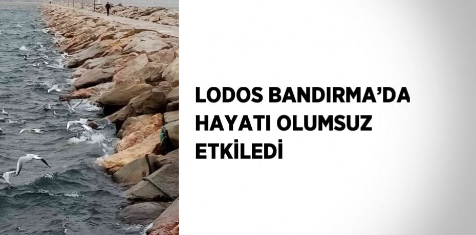 LODOS BANDIRMA’DA HAYATI OLUMSUZ ETKİLEDİ