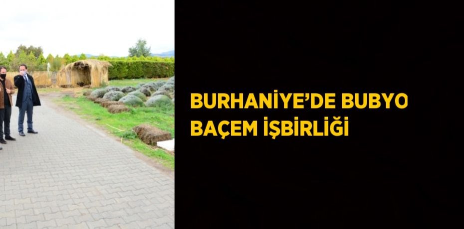 BURHANİYE’DE BUBYO BAÇEM İŞBİRLİĞİ
