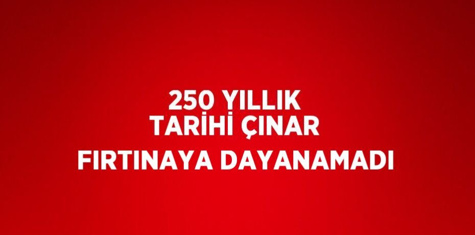 250 YILLIK TARİHİ ÇINAR FIRTINAYA DAYANAMADI