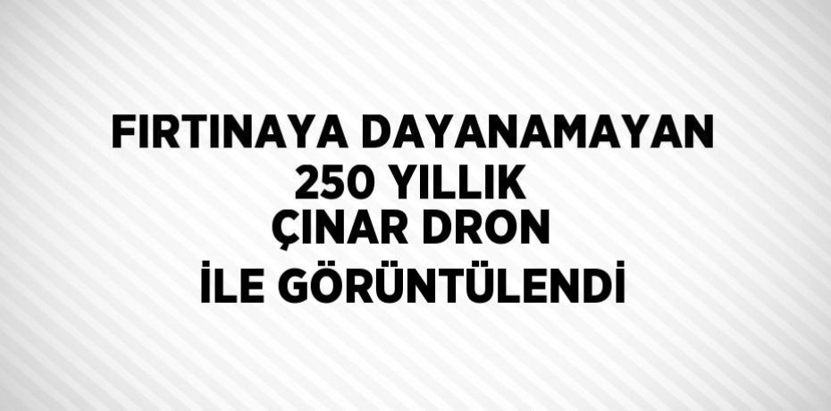 FIRTINAYA DAYANAMAYAN 250 YILLIK ÇINAR DRON İLE GÖRÜNTÜLENDİ