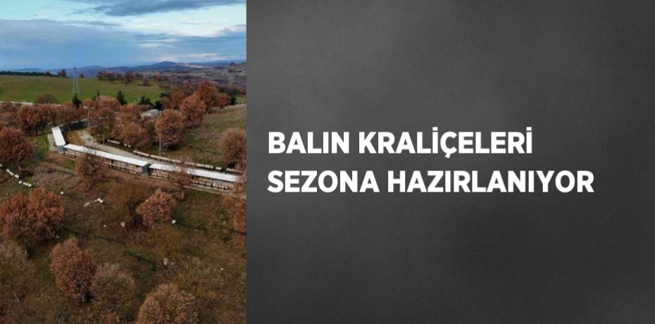 BALIN KRALİÇELERİ SEZONA HAZIRLANIYOR