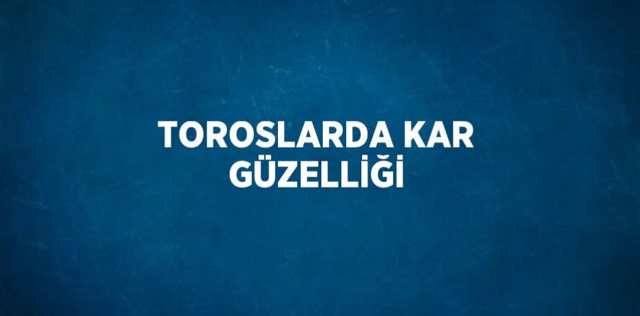 TOROSLARDA KAR GÜZELLİĞİ