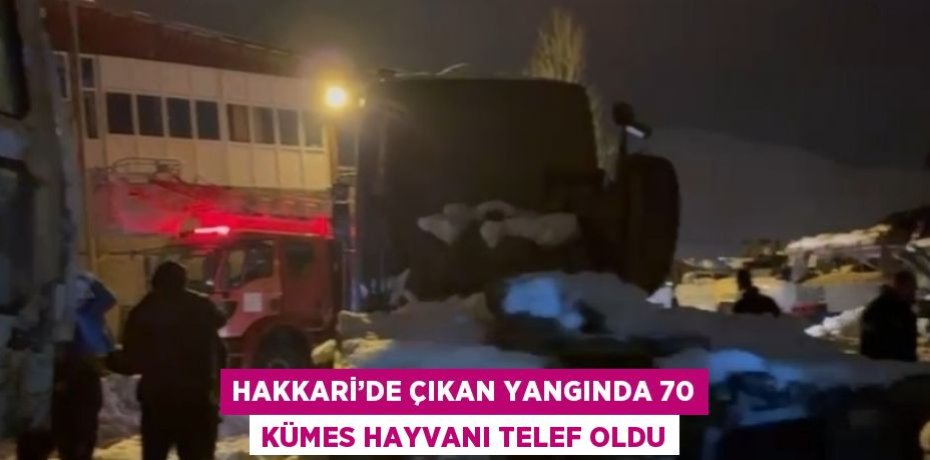 HAKKARİ’DE ÇIKAN YANGINDA 70 KÜMES HAYVANI TELEF OLDU