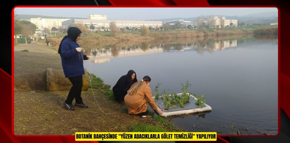 Botanik Bahçesinde "Yüzen Adacıklarla Gölet Temizliği" yapılıyor