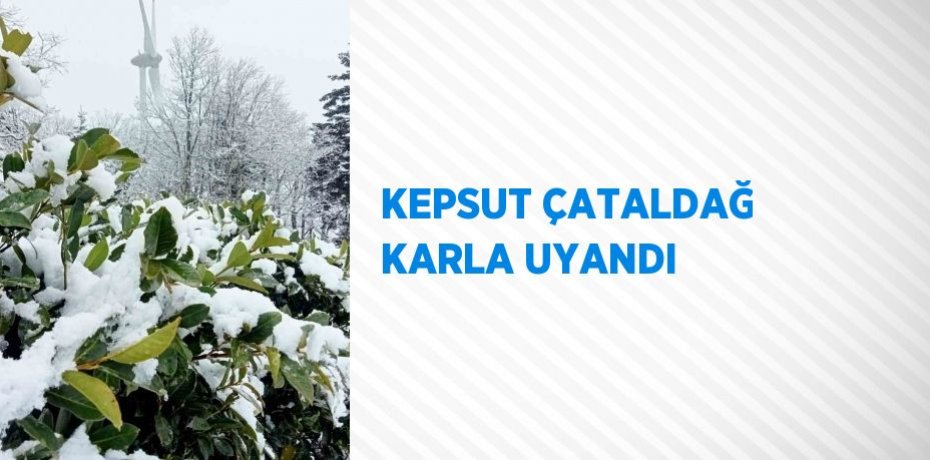 KEPSUT ÇATALDAĞ KARLA UYANDI
