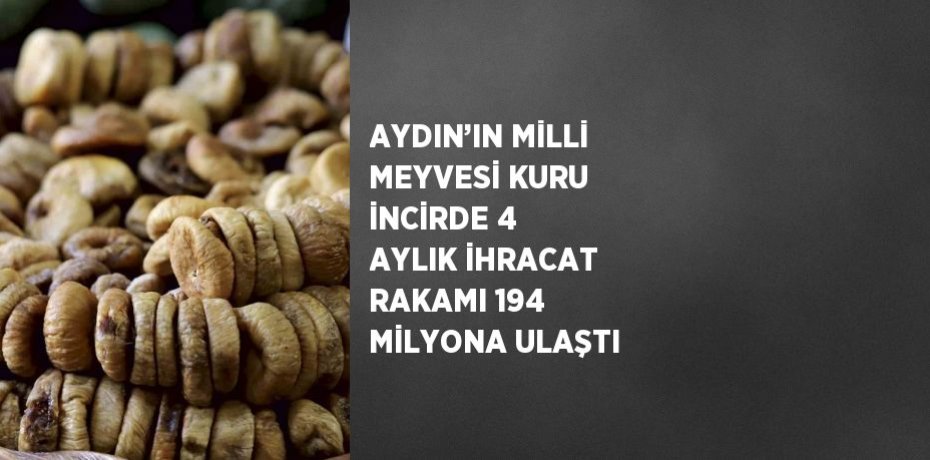AYDIN’IN MİLLİ MEYVESİ KURU İNCİRDE 4 AYLIK İHRACAT RAKAMI 194 MİLYONA ULAŞTI