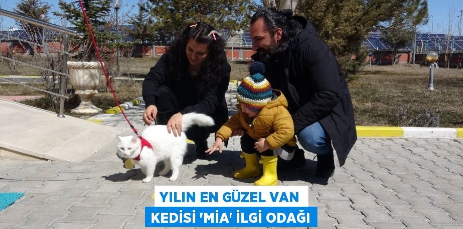 Yılın en güzel Van kedisi ‘Mia’ ilgi odağı