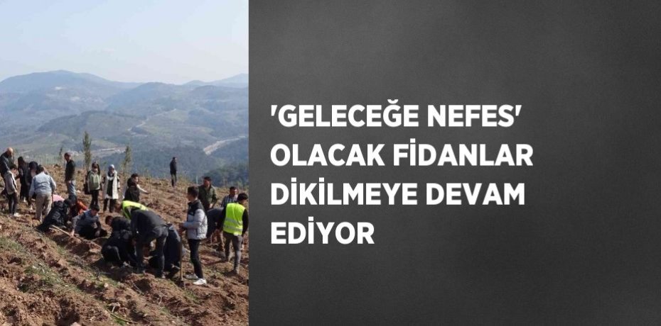 'GELECEĞE NEFES' OLACAK FİDANLAR DİKİLMEYE DEVAM EDİYOR