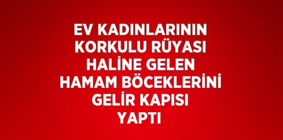 EV KADINLARININ KORKULU RÜYASI HALİNE GELEN HAMAM BÖCEKLERİNİ GELİR KAPISI YAPTI