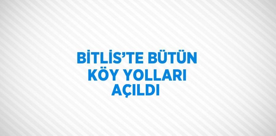 BİTLİS’TE BÜTÜN KÖY YOLLARI AÇILDI