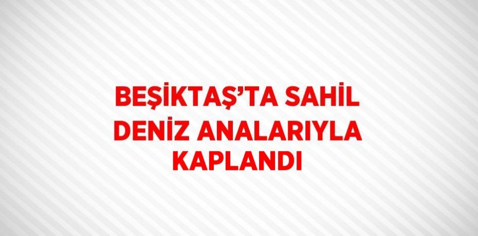 BEŞİKTAŞ’TA SAHİL DENİZ ANALARIYLA KAPLANDI