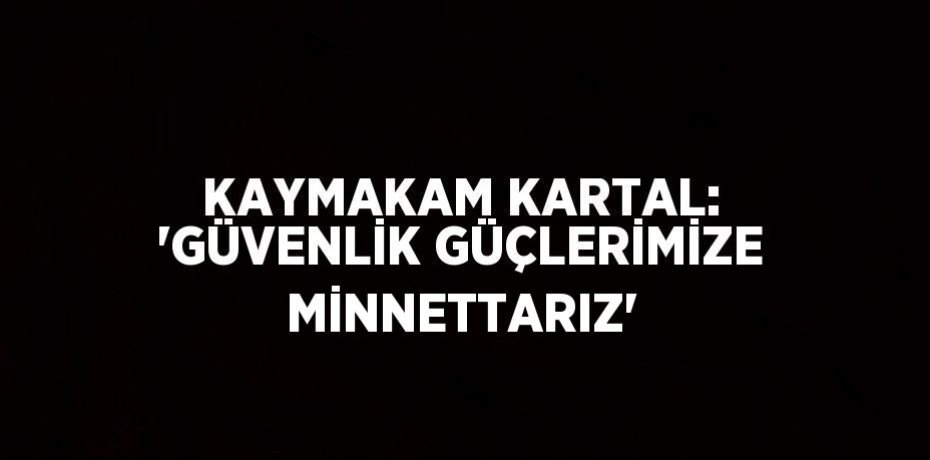 KAYMAKAM KARTAL: 'GÜVENLİK GÜÇLERİMİZE MİNNETTARIZ'