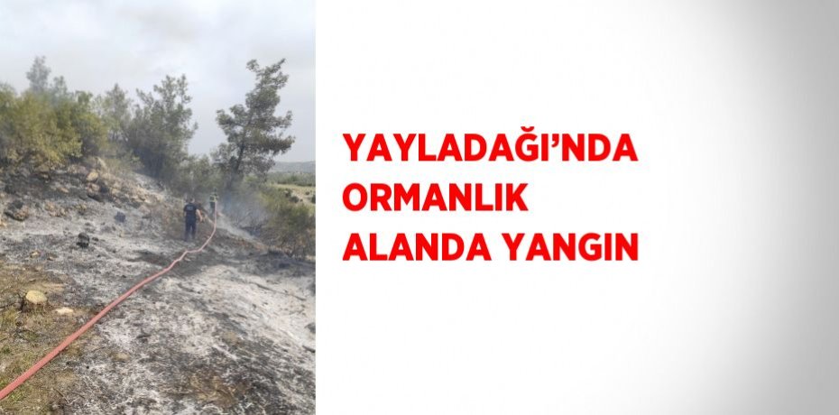 YAYLADAĞI’NDA ORMANLIK ALANDA YANGIN