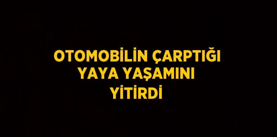OTOMOBİLİN ÇARPTIĞI YAYA YAŞAMINI YİTİRDİ