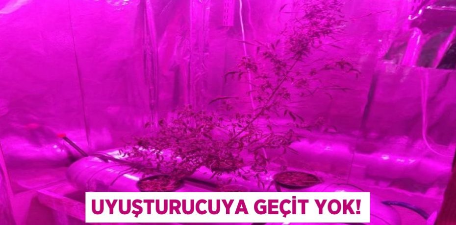 UYUŞTURUCUYA GEÇİT YOK!