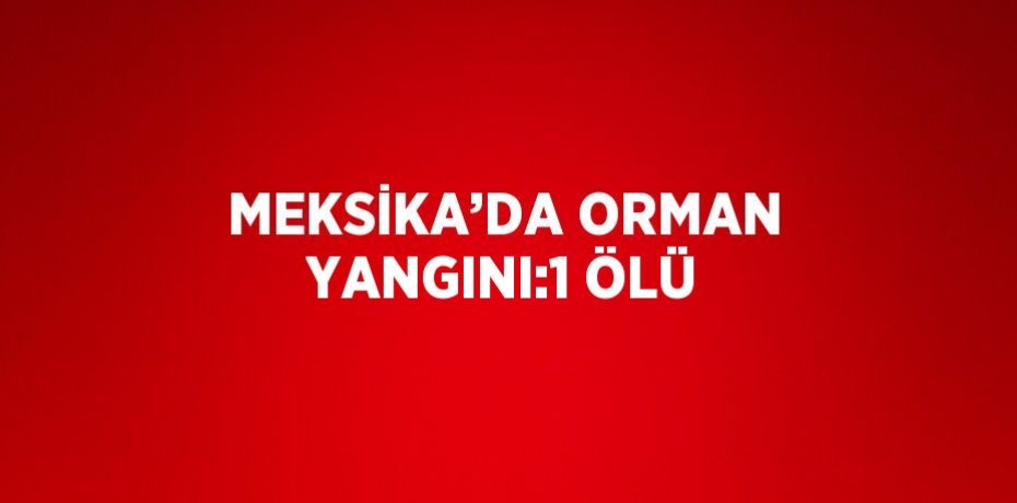 MEKSİKA’DA ORMAN YANGINI:1 ÖLÜ