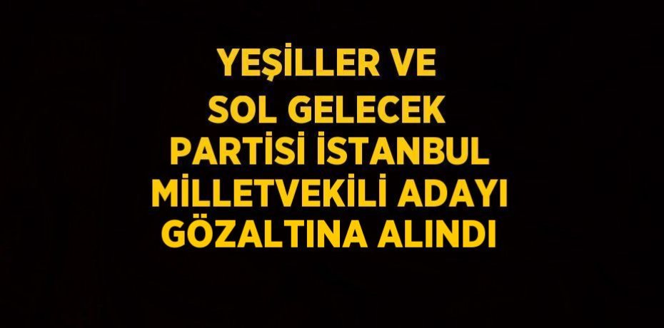 YEŞİLLER VE SOL GELECEK PARTİSİ İSTANBUL MİLLETVEKİLİ ADAYI GÖZALTINA ALINDI