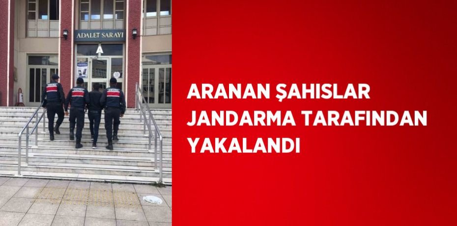ARANAN ŞAHISLAR JANDARMA TARAFINDAN YAKALANDI