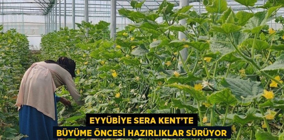 EYYÜBİYE SERA KENT’TE BÜYÜME ÖNCESİ HAZIRLIKLAR SÜRÜYOR