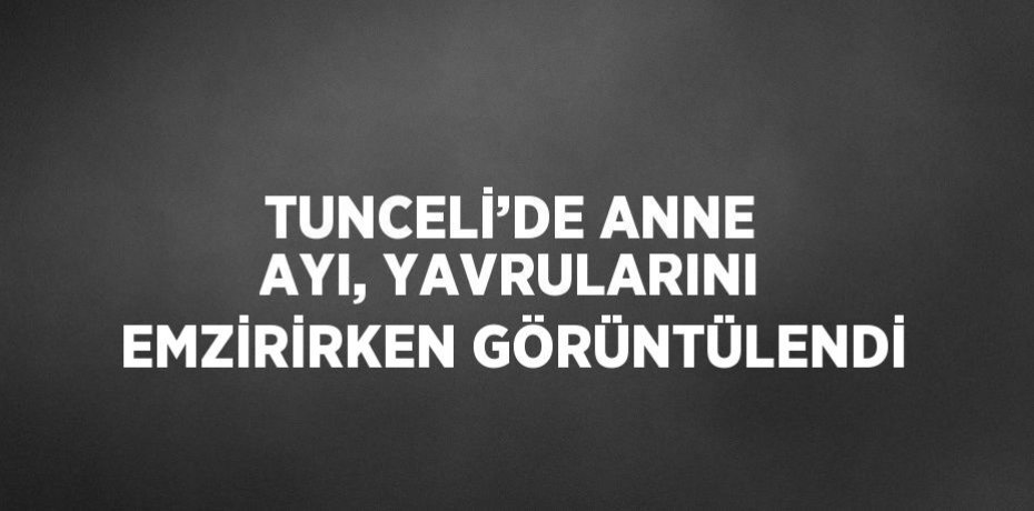 TUNCELİ’DE ANNE AYI, YAVRULARINI EMZİRİRKEN GÖRÜNTÜLENDİ