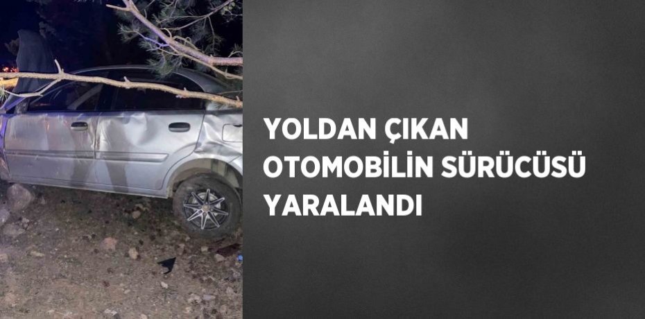 YOLDAN ÇIKAN OTOMOBİLİN SÜRÜCÜSÜ YARALANDI