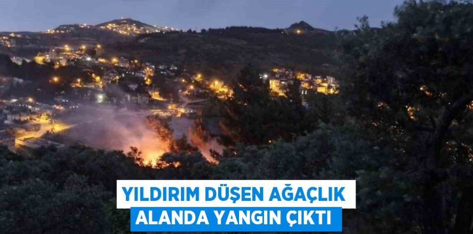 YILDIRIM DÜŞEN AĞAÇLIK ALANDA YANGIN ÇIKTI