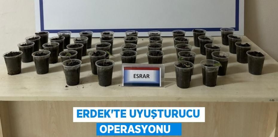 Erdek’te uyuşturucu operasyonu  