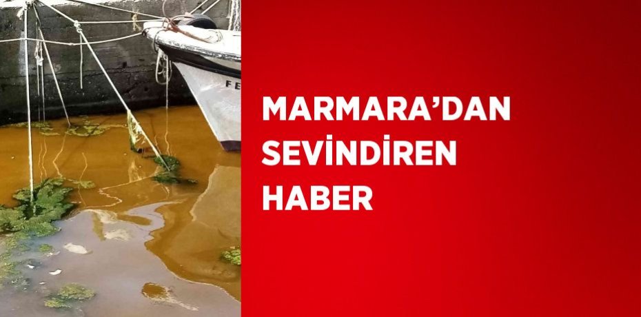 MARMARA’DAN SEVİNDİREN HABER