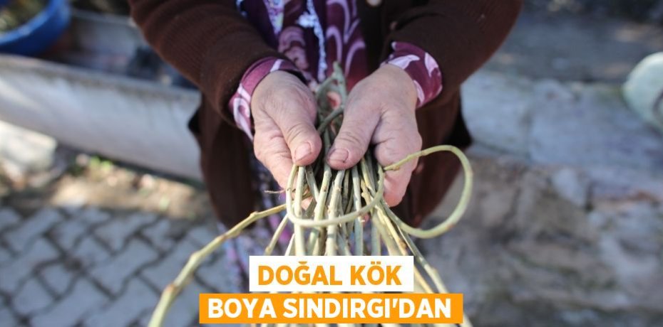 Doğal kök boya Sındırgı'dan