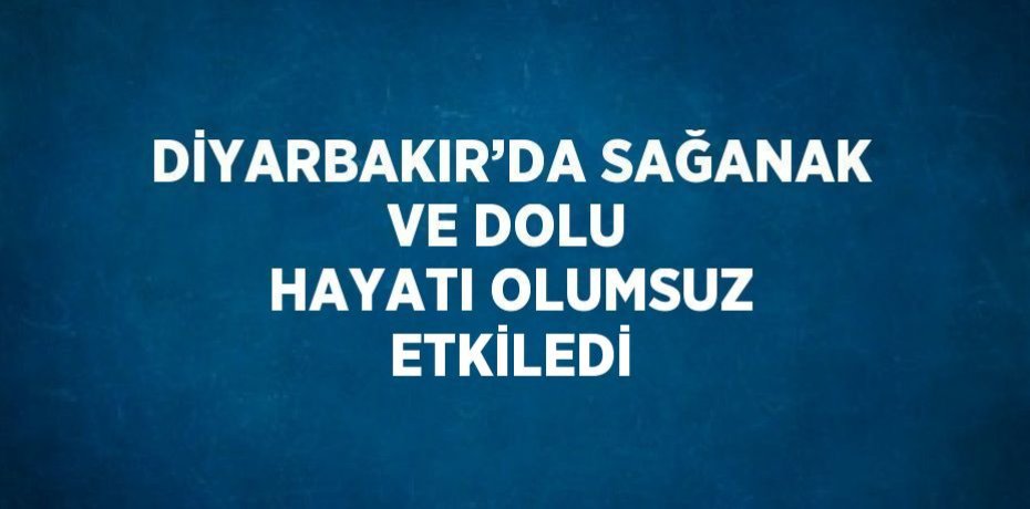DİYARBAKIR’DA SAĞANAK VE DOLU HAYATI OLUMSUZ ETKİLEDİ