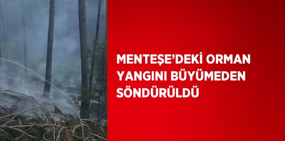 MENTEŞE’DEKİ ORMAN YANGINI BÜYÜMEDEN SÖNDÜRÜLDÜ