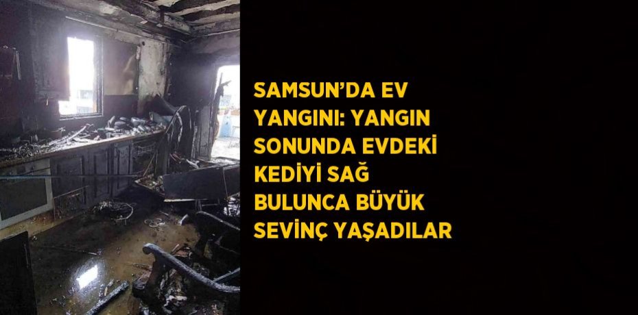 SAMSUN’DA EV YANGINI: YANGIN SONUNDA EVDEKİ KEDİYİ SAĞ BULUNCA BÜYÜK SEVİNÇ YAŞADILAR
