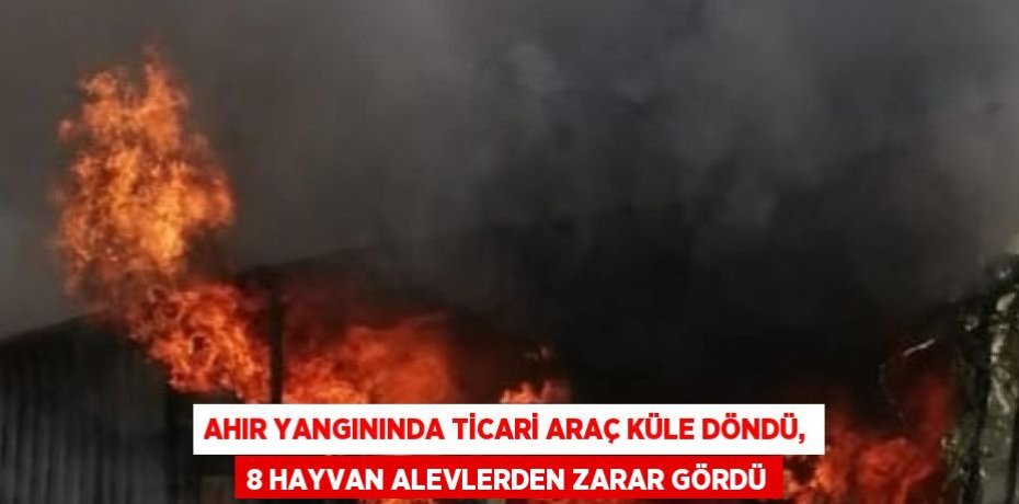 AHIR YANGININDA TİCARİ ARAÇ KÜLE DÖNDÜ, 8 HAYVAN ALEVLERDEN ZARAR GÖRDÜ