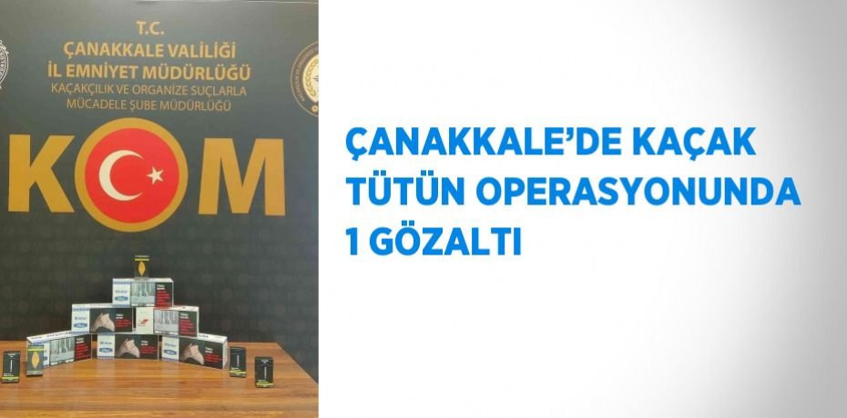 ÇANAKKALE’DE KAÇAK TÜTÜN OPERASYONUNDA 1 GÖZALTI