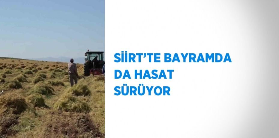 SİİRT’TE BAYRAMDA DA HASAT SÜRÜYOR