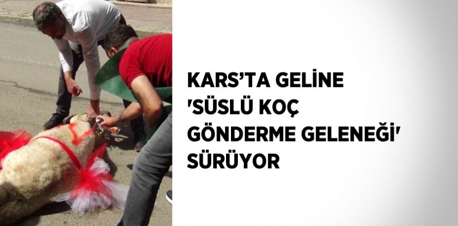 KARS’TA GELİNE 'SÜSLÜ KOÇ GÖNDERME GELENEĞİ' SÜRÜYOR