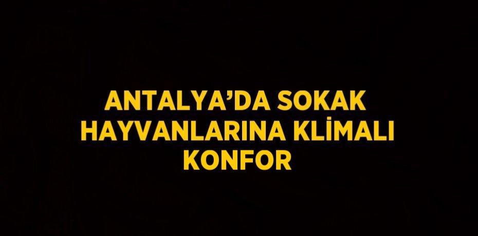 ANTALYA’DA SOKAK HAYVANLARINA KLİMALI KONFOR