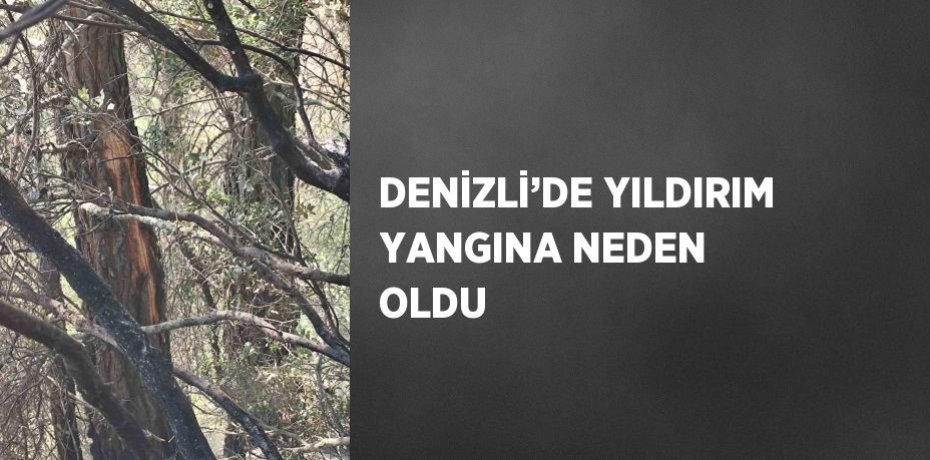 DENİZLİ’DE YILDIRIM YANGINA NEDEN OLDU