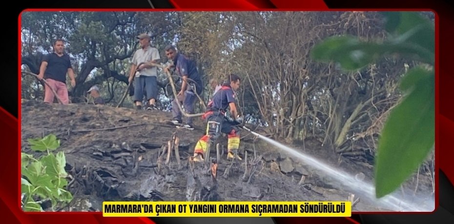 Marmara'da çıkan ot yangını ormana sıçramadan söndürüldü  