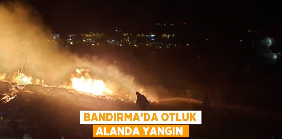 BANDIRMA’DA OTLUK ALANDA YANGIN