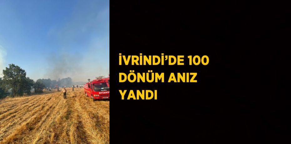 İVRİNDİ’DE 100 DÖNÜM ANIZ YANDI