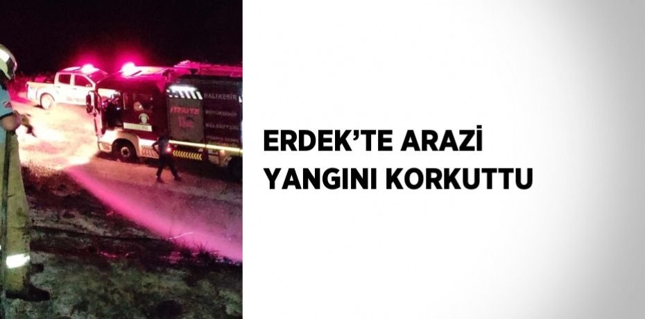 ERDEK’TE ARAZİ YANGINI KORKUTTU