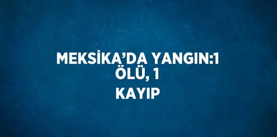 MEKSİKA’DA YANGIN:1 ÖLÜ, 1 KAYIP