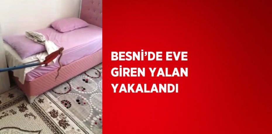 BESNİ’DE EVE GİREN YALAN YAKALANDI