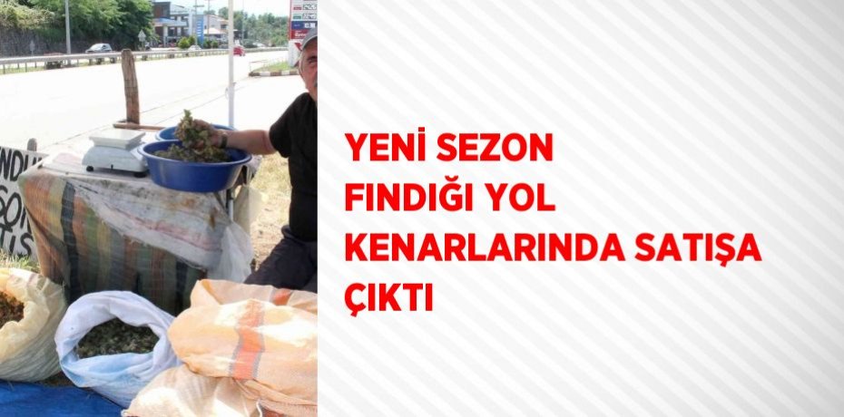 YENİ SEZON FINDIĞI YOL KENARLARINDA SATIŞA ÇIKTI