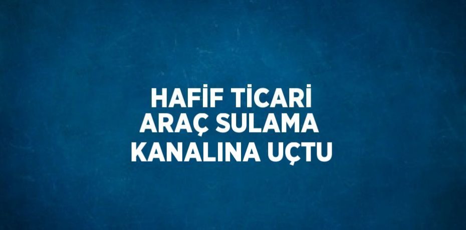 HAFİF TİCARİ ARAÇ SULAMA KANALINA UÇTU
