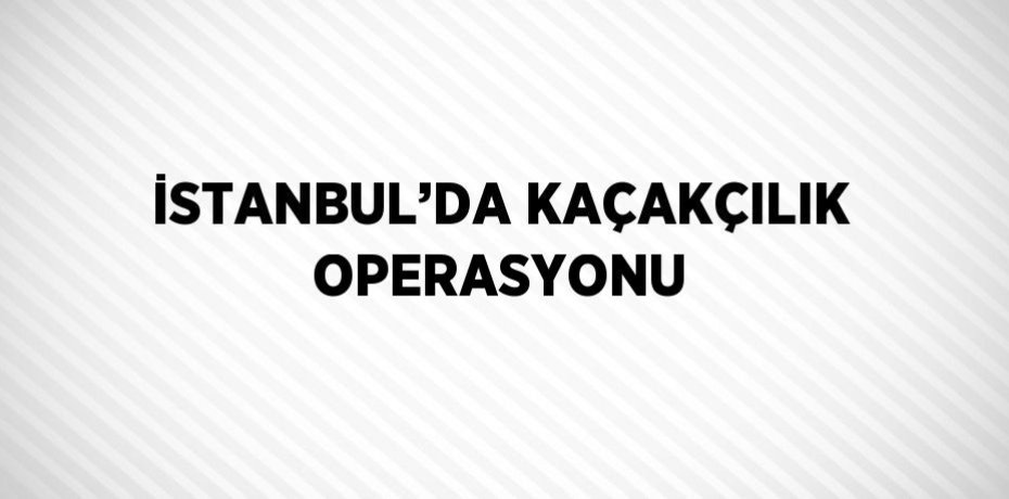İSTANBUL’DA KAÇAKÇILIK OPERASYONU